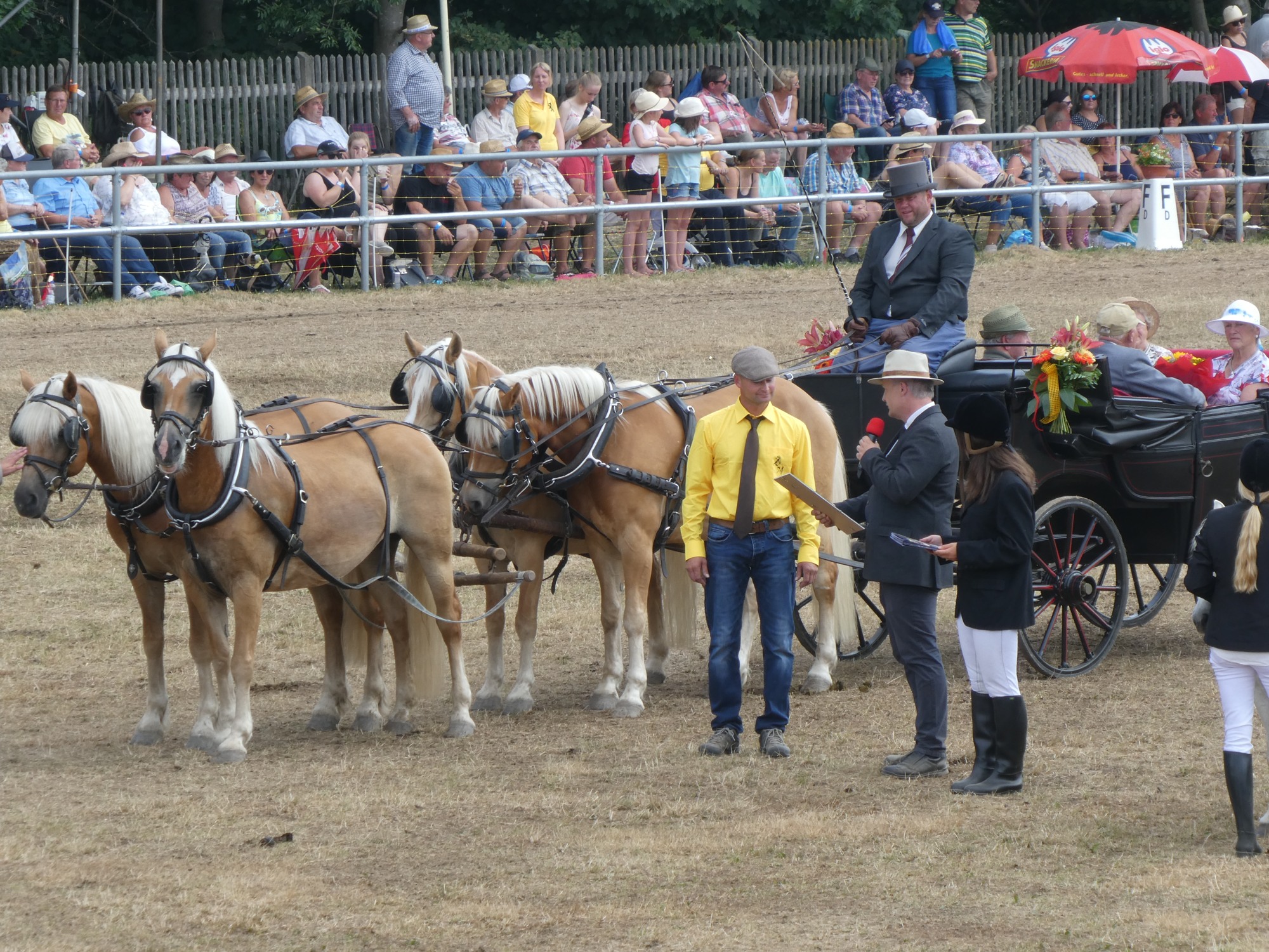 Titelbild Wenigenauma